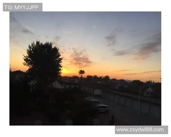 太阳与梦想的对决比分直播全程跟踪与精彩分析