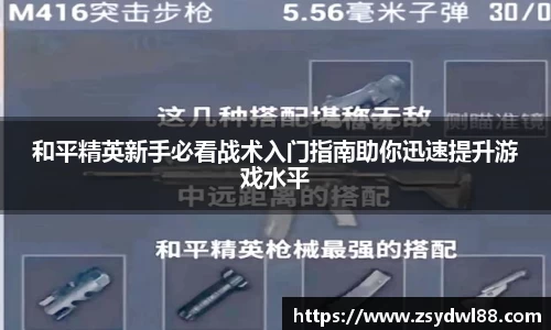 星空综合官网