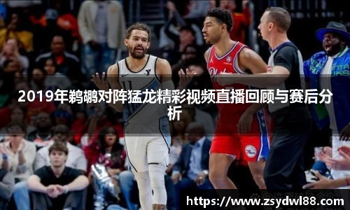 2019年鹈鹕对阵猛龙精彩视频直播回顾与赛后分析