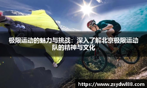 星空综合官网首页